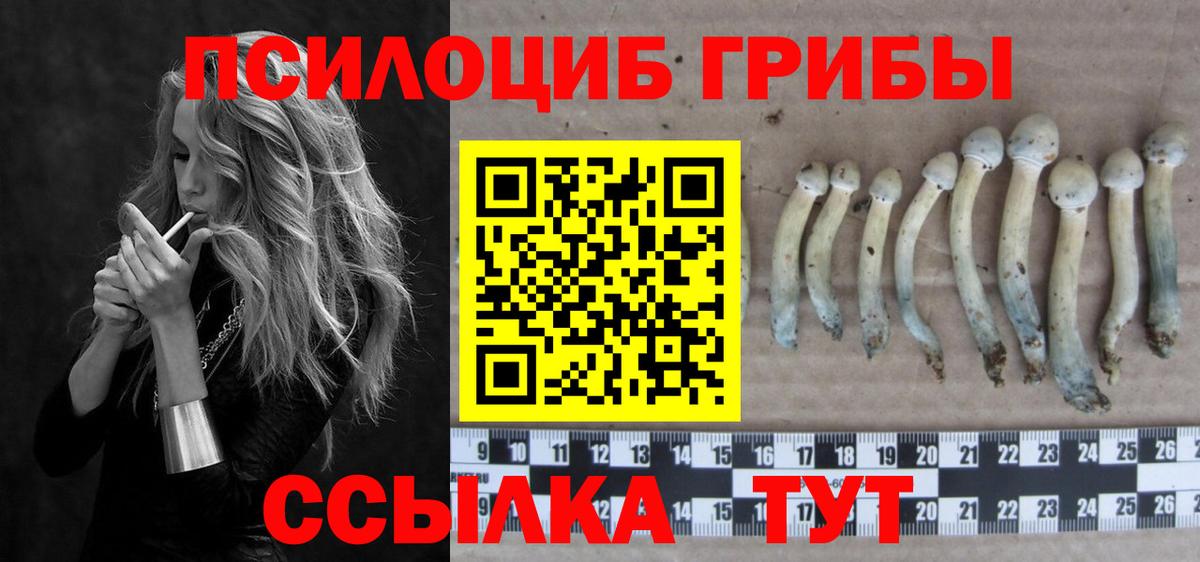 Псилоцибиновые грибы прущие грибы Урус-Мартан